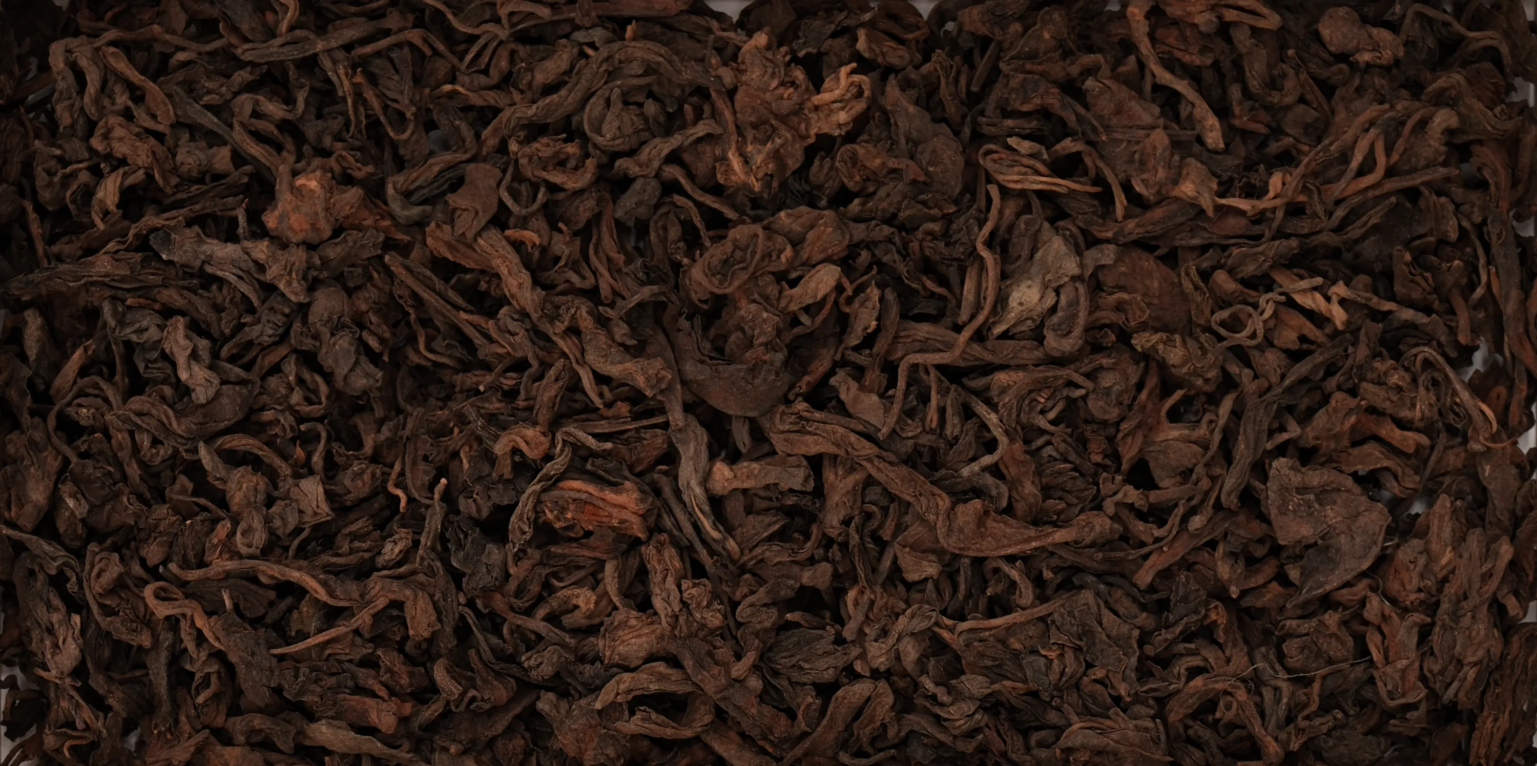 Product banner for Wild Puer
